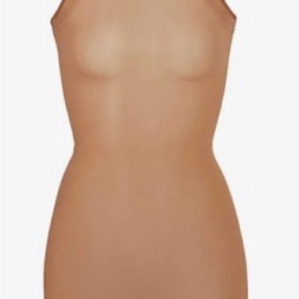 SKIMS Summer Mesh Brown Mini Dress